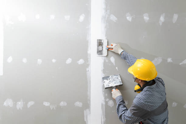 Best Post-Construction Mold Inspection  in Helena, AL