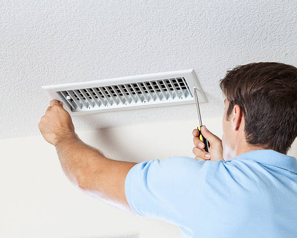 Best Water Damage & Mold Remediation  in Helena, AL