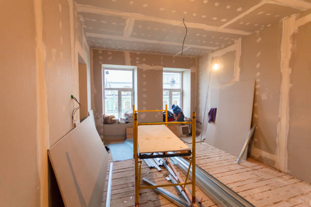 Trusted Helena, AL Mold Removal Experts